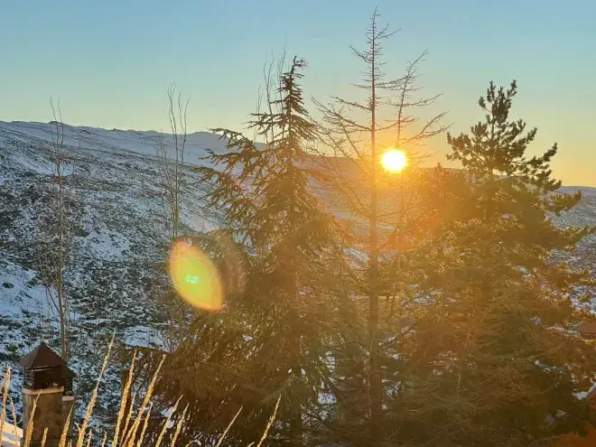 Amanecer sobre las pistas de Sierra Nevada con el sol entre los pinos